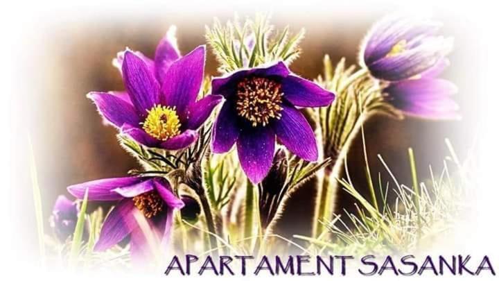 Apartament Sasanka Apartment Ковари Екстериор снимка